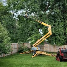  Folsom, PA Tree Removal and Landscaping Services Pros